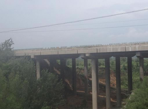 河南省连霍高速东上村2号桥预应力碳纤维板加固