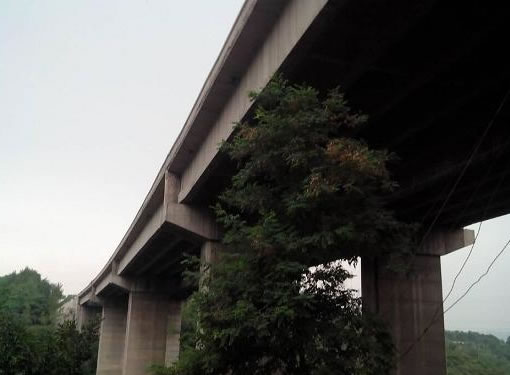 河南省连霍高速王家庄大桥预应力碳纤维板加固